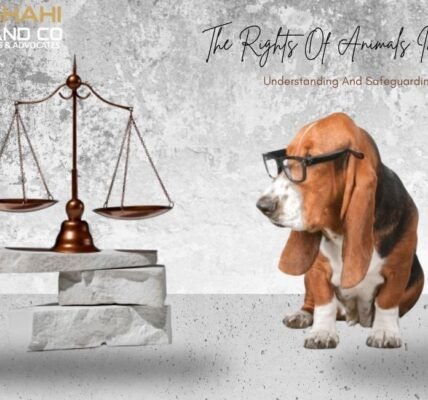 the rights of animals
