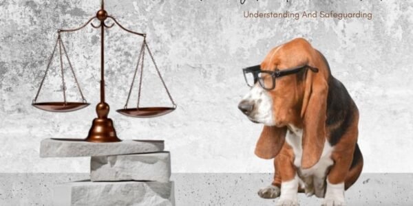 the rights of animals